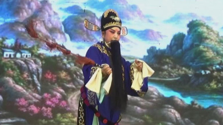 晋剧《孙安动本》上集 主演 孙红丽 高清mp4