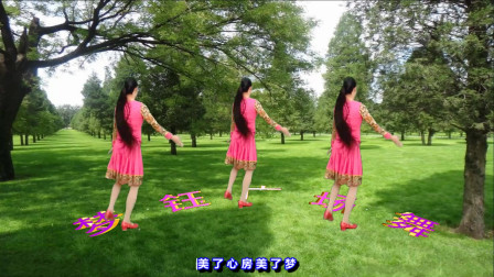广场舞《心中阿妹》简单好学教学高清视频免