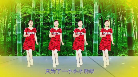 广场舞《父母爱人辛苦了》舞步优美 32步附