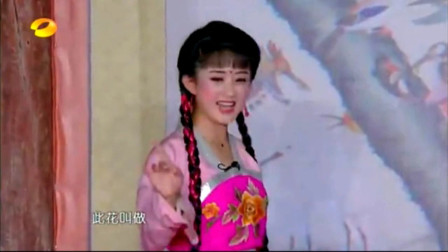 黄梅戏《打猪草对花》演员赵丽颖演唱 高清m