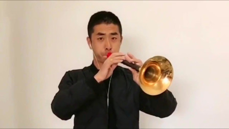 唢呐《军中绿花》农村小伙吹得比唱得还好听