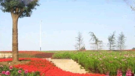 晋剧《孔雀东南飞》选段 高慧美唱段戏曲mp3下载下载