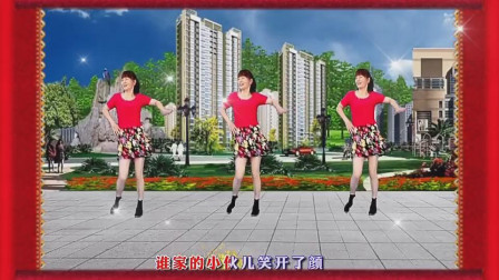 广场舞《回到童年》歌声柔美 舞歩轻盈 附教