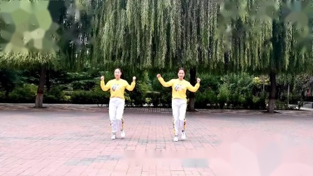 云裳广场舞《谁》正背面附教学 好听好看简