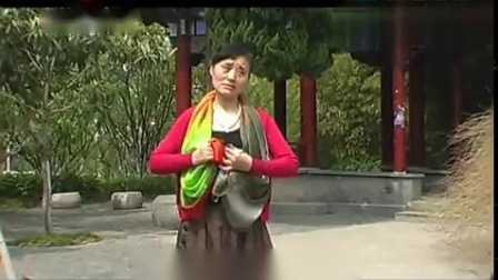 淮剧名家名唱《我与他从小相亲又相爱》高清
