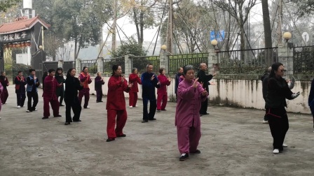 杨老师太极拳教学 高清mp4视频免费下载