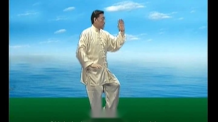 太极拳大师陈小旺太极拳养生教学全集 高清m