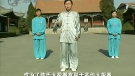 陈式太极拳基础入门 陈斌 高清mp4视频免费