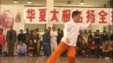 二十八杨式太极拳（傅清泉）高清mp4视频免费下