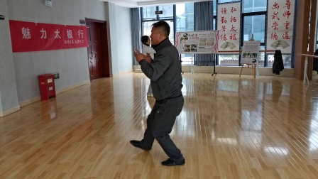 杨健候老架八十三太极拳 高清mp4视频免费下