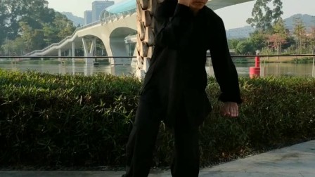 陈氏太极拳小架 陈庆杰  高清mp4视频免费下