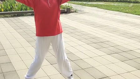 四十八式太极拳 高清mp4视频免费下载