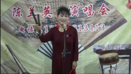河南坠子《天劈不孝子》陈兰英演唱 戏曲mp3免费下载下载