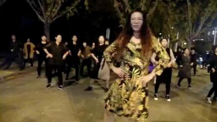 舞灵美娜子原创广场舞《饿狼传说》夜舞版 高清下载下载