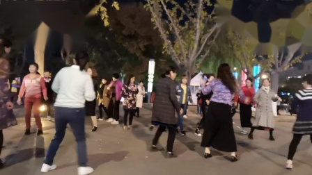 舞灵美娜子广场舞《双人恰恰对跳》高清下载下载