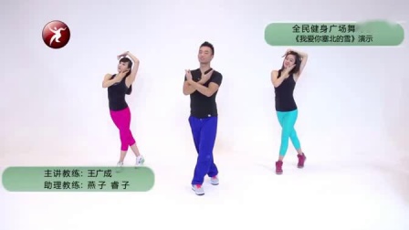 王广成广场舞 《我爱你塞北的雪》高清下载