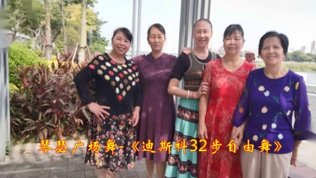 琴瑟广场舞《迪斯科32步自由舞》好听好看简单易学适合初学者下载