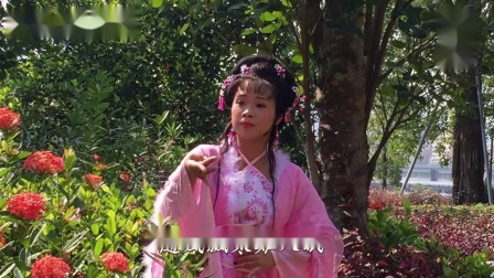 玉芙蓉歌仔戏 《新红楼奇缘 黛玉葬花》 雅