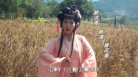 玉芙蓉歌仔戏 《新狄青  离乡背井调》 凉菁