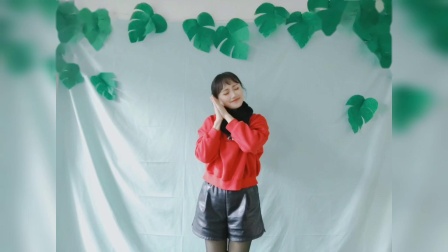 幼儿舞蹈《萤火虫对星星说》镜面示范 节奏