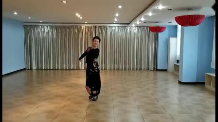 张春丽广场舞 《酒醉的蝴蝶》 好听好看简单易学适合初学者下载