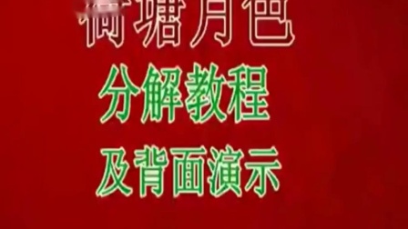 美久广场舞《荷塘月色》分解教程及背面演示