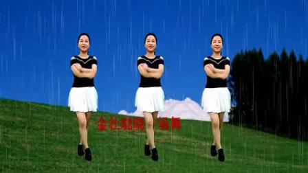 32步广场舞《雨中泪》教学视频简单好学高清