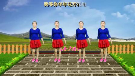 DJ广场舞《伤离别》谁的眼泪逆流成河 伤感