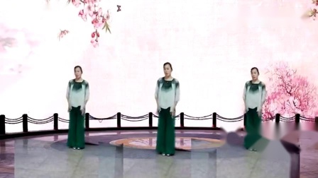 天竹广场舞《凉凉》编舞王广成 教学视频简