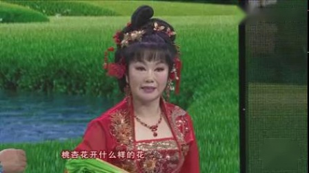 东北二人转小帽《反正对花》赵晓波 演唱 高清mp4视频下载下载