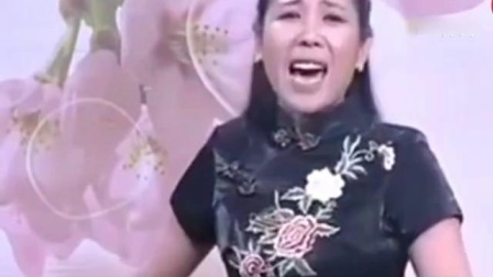 河南坠子《金钱记》选段 戏曲mp3免费下载