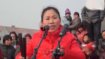 河南坠子《兰考迎春书会》选段 胡银花老师演唱 戏曲mp3免费下载下载