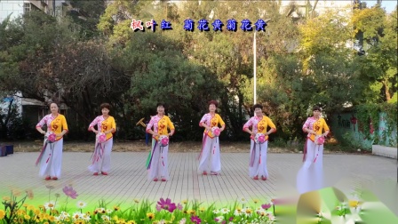 春英广场舞《秋梦》教学视频简单好学高清下