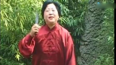 河南坠子《刘云打母》选段 演唱的真是太好