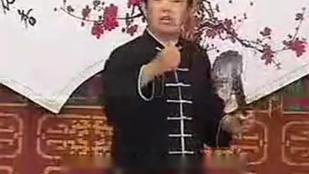 河南坠子《罗家将》选段 家乡的味道 戏曲mp