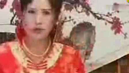 河南坠子《罗家将》选段 戏曲mp3免费下载