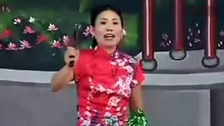 河南坠子《马踏洛阳》选段 胡银花演唱  戏曲mp3免费下载下载