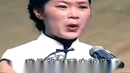 河南坠子《妻儿泪》精彩选段 戏曲mp3免费下