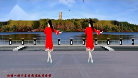 惠汝广场舞 《不要放开我的手》 背面 教学高清视频免费下载下载