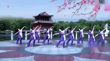 广场形体舞《稻源女儿情》教学视频简单好学