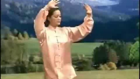 48式太极拳背面带口令 mp4视频下载