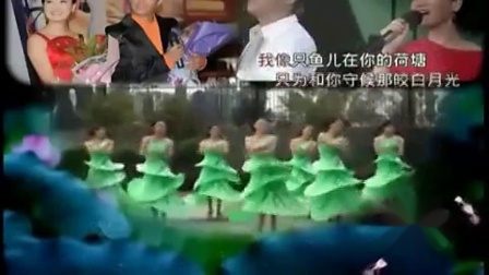 紫蝶踏歌广场舞专辑 《荷塘月色》节奏欢快动感简单又好看下载