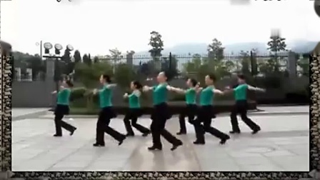 紫蝶踏歌广场舞《黑壮姑娘爱唱歌 》好听好看简单易学适合初学者下载