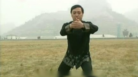 陈氏太极拳实战绝技 高清mp4视频免费下载