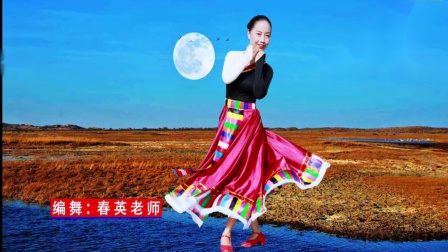 春英广场舞《月光下的美人》教学视频简单好