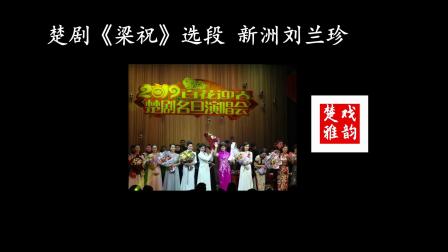 楚剧《梁祝》对梁兄一段唱新洲楚剧团国家二