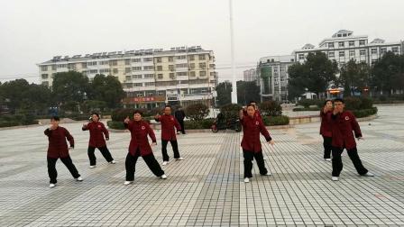 双港太极辅导站传统杨式28太极拳 高清mp4视