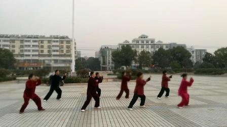 双港太极辅导站42式太极拳  高清mp4视频免