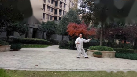 传统杨氏85式太极拳（安仁华）高清mp4视频免费下载下载