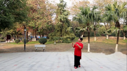 张春丽广场舞《中国脊梁》简单好学教学视频免费高清下载下载